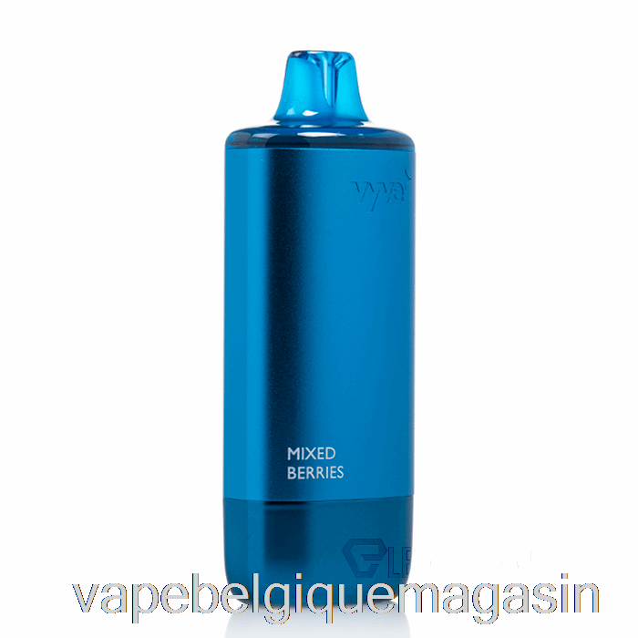 Vape Jetable Vyve 10000 Baies Mélangées Jetables